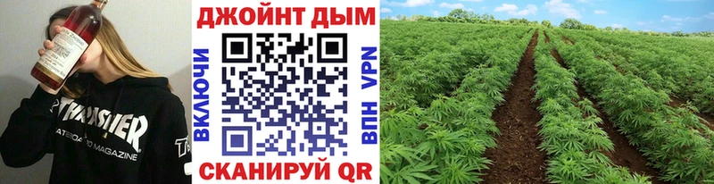 Купить закладку Бошки Шишки  АМФ  Alpha-PVP  Гашиш  Cocaine  Codein  Мефедрон  Оренбург