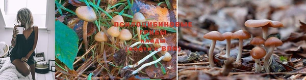 альфа пвп Кинешма