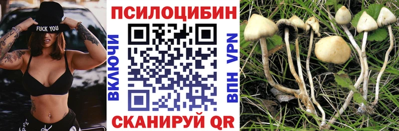 Купить закладки Оренбург Галлюциногенные грибы Cubensis